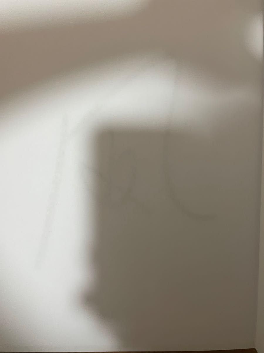 凪ひかる　直筆サイン入りチェキ 凪ひかる 直筆サイン付きチェキ1